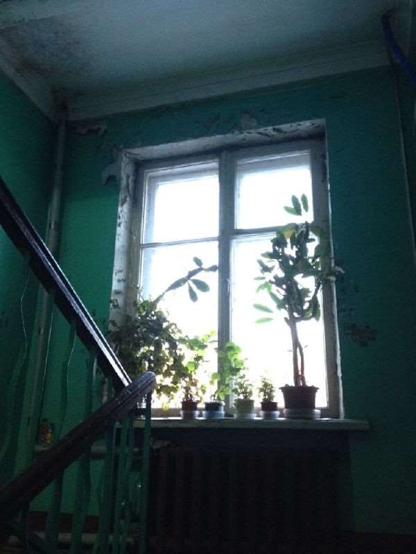 Комната ул. Невзоровой улица, 4, фото №9