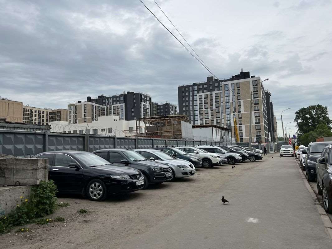Студия аллея Большая (МО №47 "Пулковский меридиан") аллея, фото №10