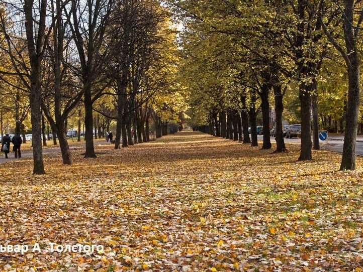 Двухкомнатная квартира б-р Алексея Толстого бульвар, 50 к. 1, фото №5