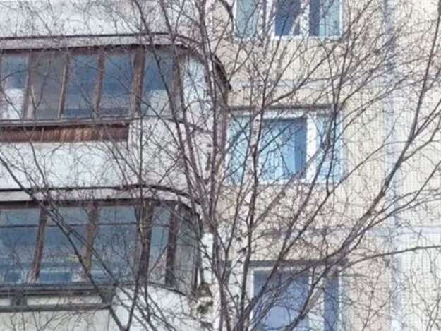 Двухкомнатная квартира ул. Маршала Казакова улица, 28 к. 1, фото №4