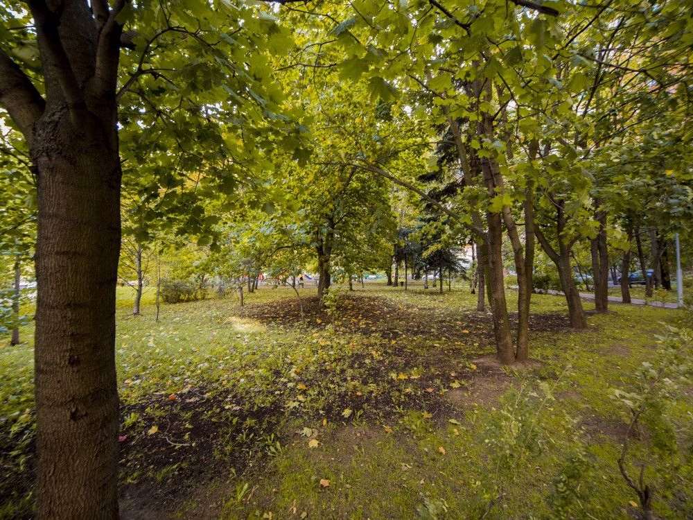 4-х комнатная квартира Профсоюзная улица, 43 к. 1, фото №4
