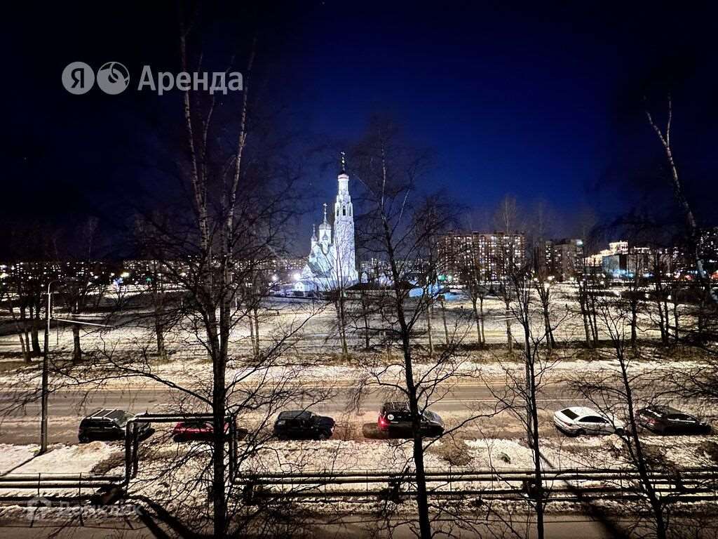 Трехкомнатная квартира ул. Подвойского улица, 10, фото №3