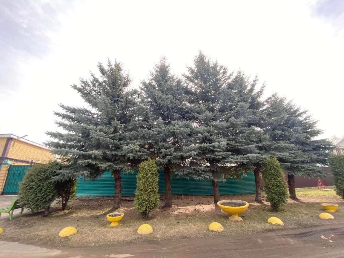 Дом комнаты Тан улица, фото №2