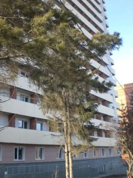 Студия Первомайская улица, 230, фото №10