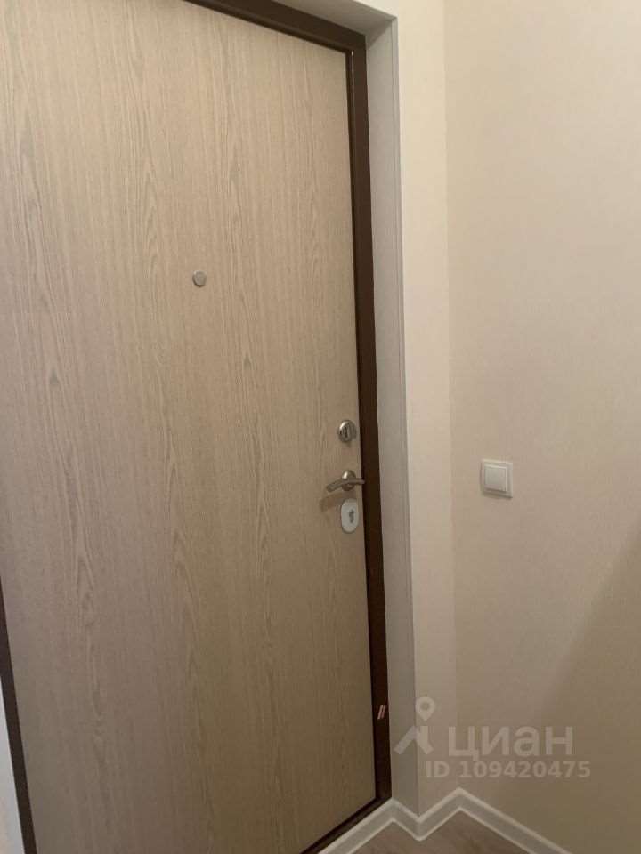 Однокомнатная квартира пр. Дворцовый проспект, фото №4