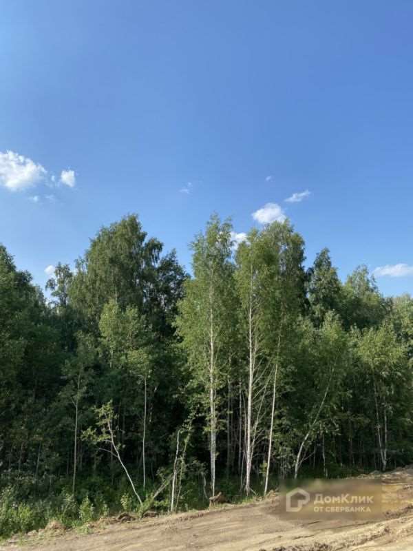 Студия Челябинск улица, фото №7
