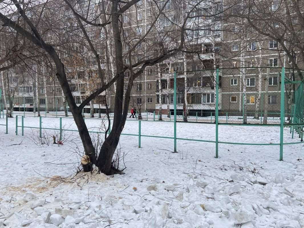 Трехкомнатная квартира Софьи Перовской улица, 113, фото №1