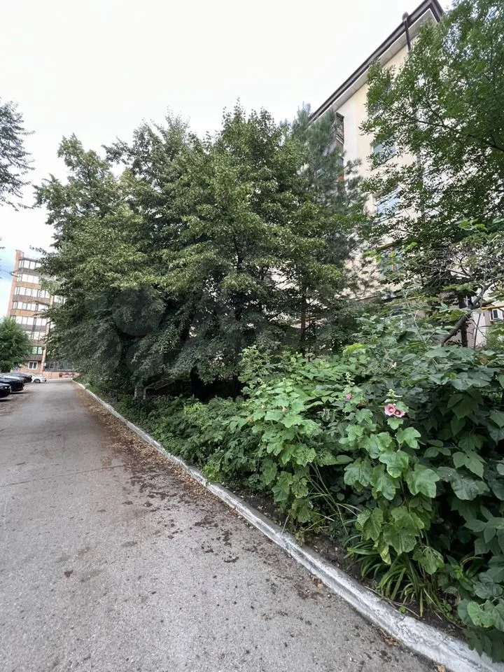 -и комнатная Спортивная улица, фото №7