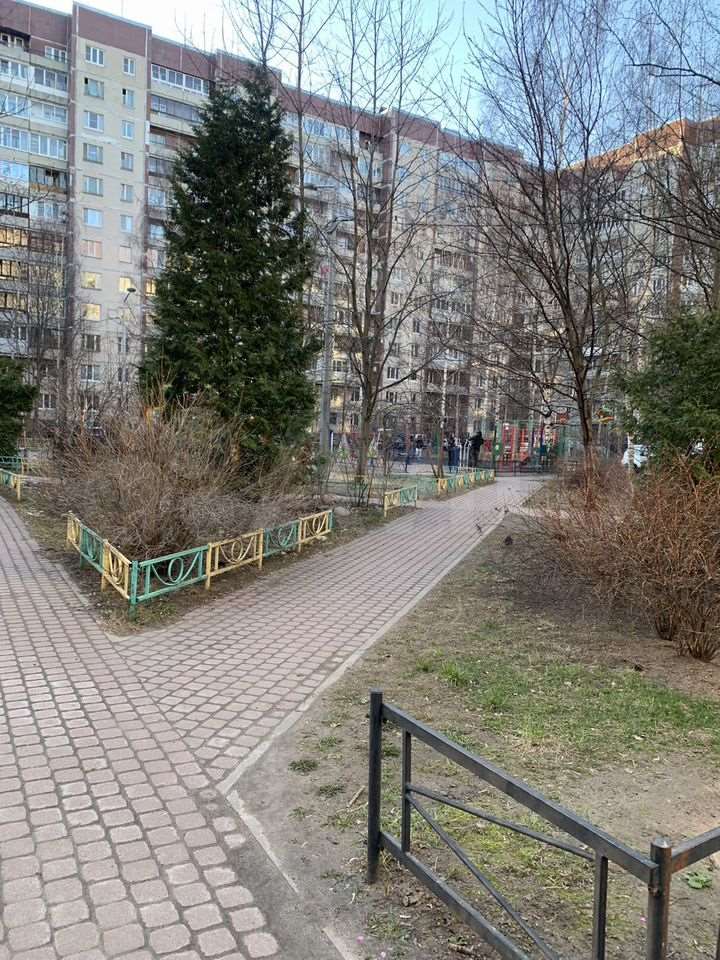 Двухкомнатная квартира пр. Испытателей проспект, 28 к. 2, фото №4