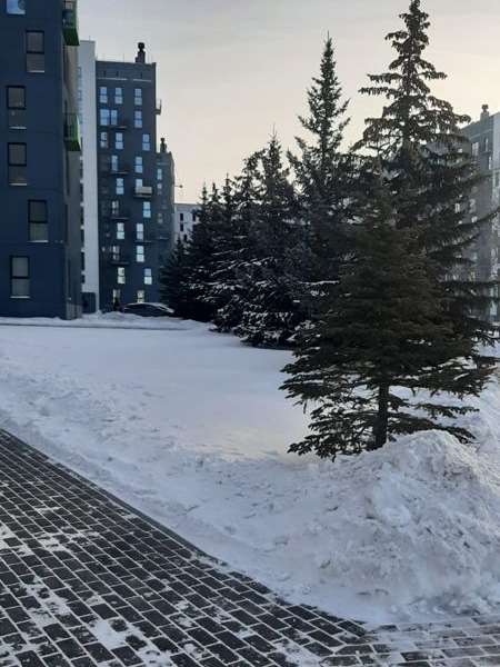 Однокомнатная квартира Челябинск улица, фото №2