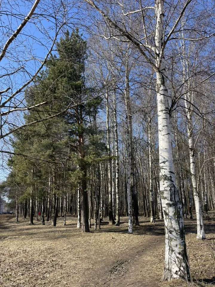 Однокомнатная квартира ул. Плесецкая улица, 10, фото №2