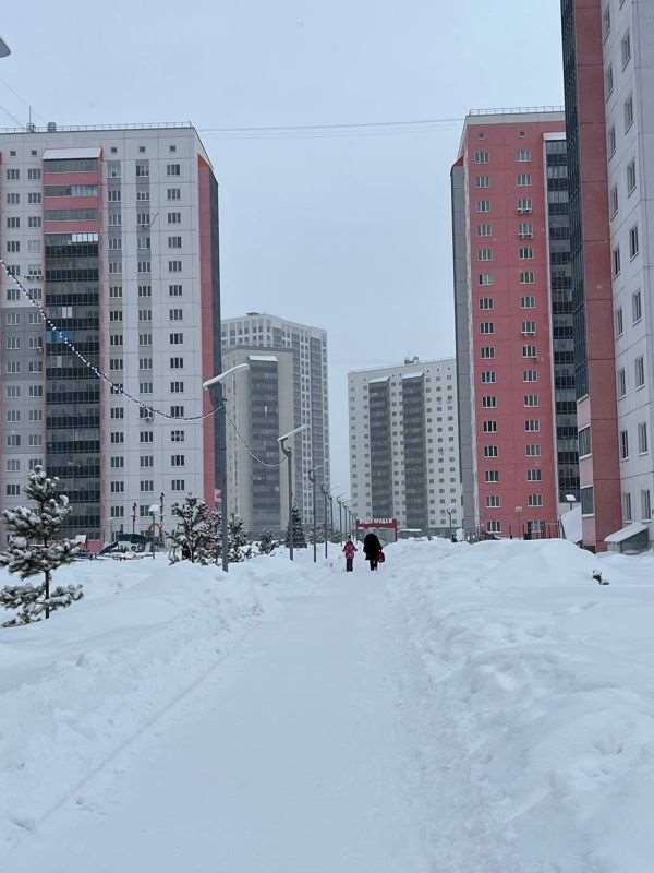 Студия Новосибирск улица, фото №5