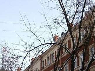 Трехкомнатная квартира пр. Литейный проспект, фото №9