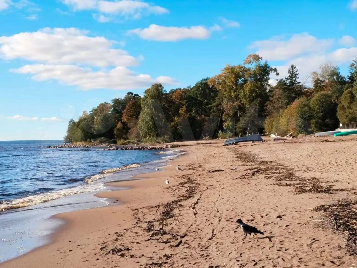 Однокомнатная квартира ул. Комсомольская (МО "г. Зеленогорск") улица, 10, фото №3