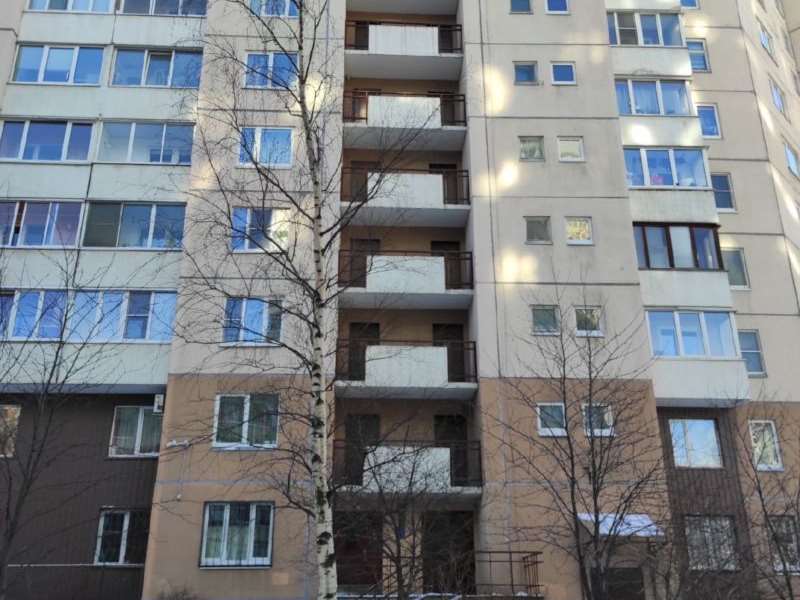 Двухкомнатная квартира пр. Новоколомяжский проспект, 8, фото №4
