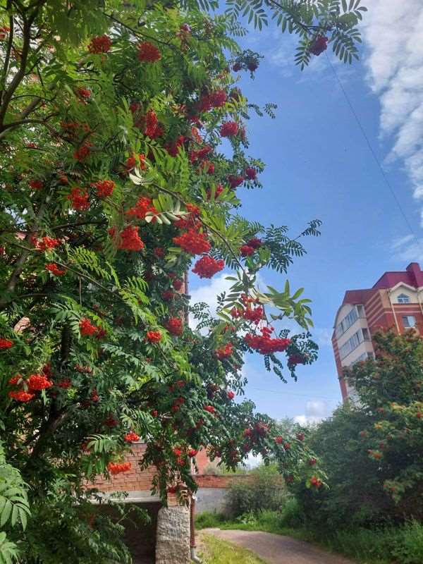 Однокомнатная квартира Томск улица, фото №10