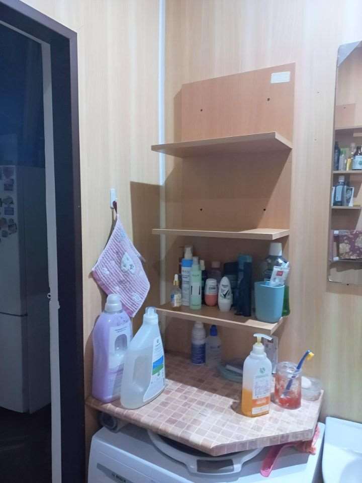 -и комнатная ул. Партизана Германа улица, 30, фото №9