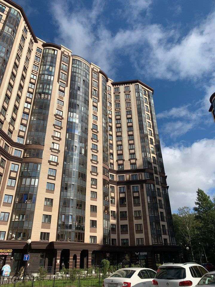 Однокомнатная квартира пр. Комендантский проспект, фото №2
