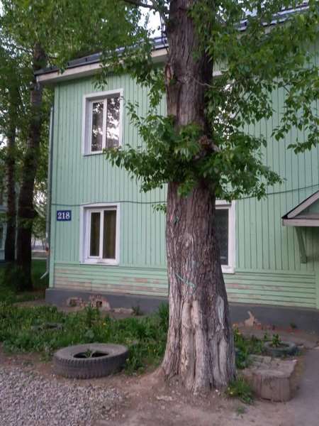 Студия Ленина улица, 218, фото №2