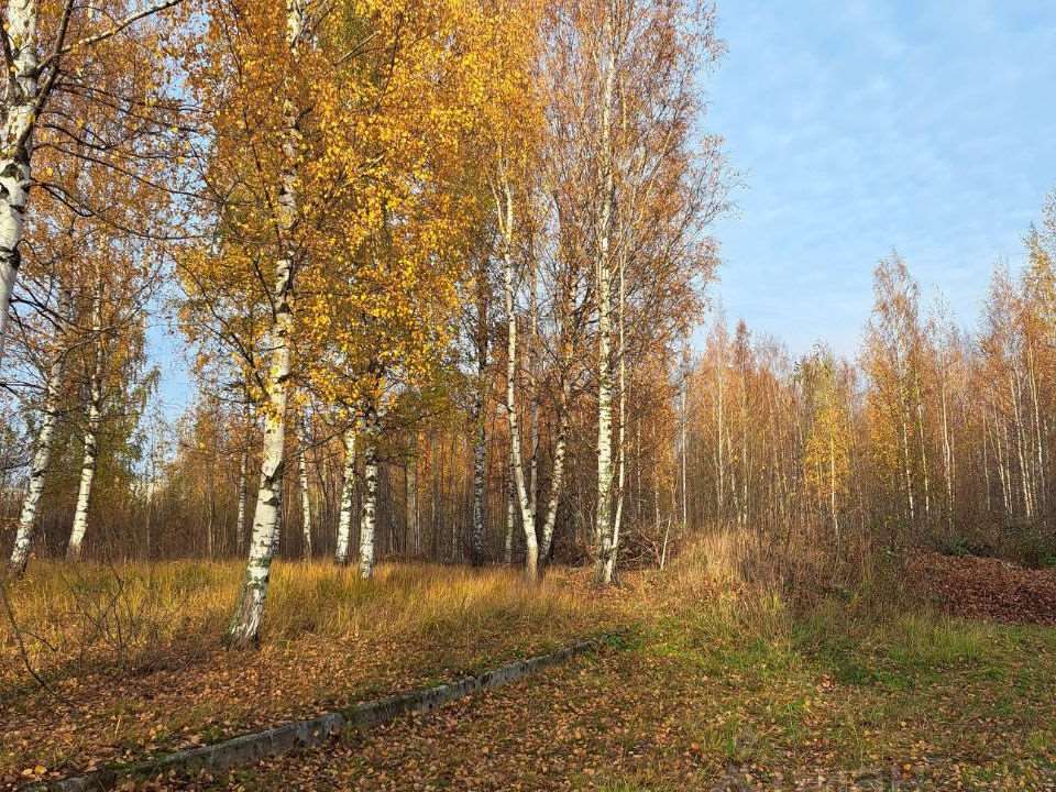 -и комнатная пр. Дворцовый проспект, фото №2