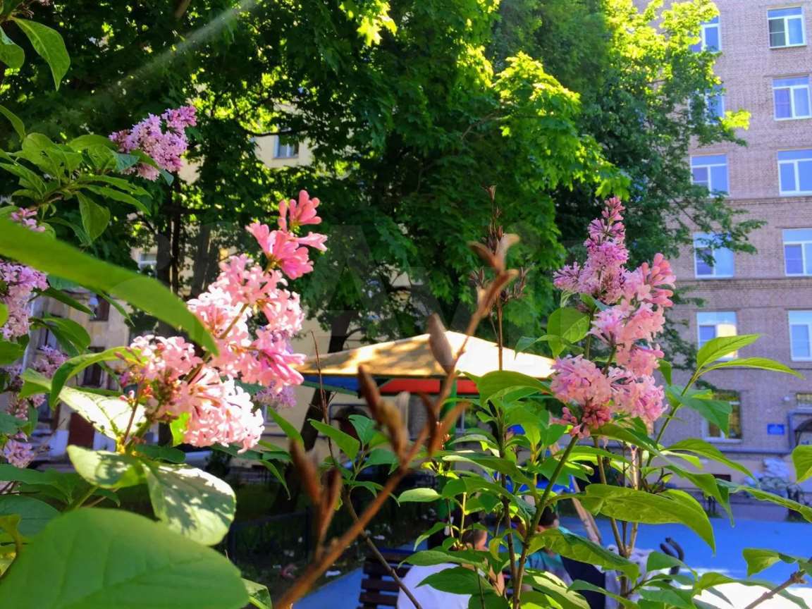 Комната ул. Парадная улица, фото №5